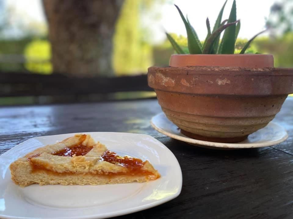 Bed and Breakfast Il Melarancio Pescia Romana Zewnętrze zdjęcie
