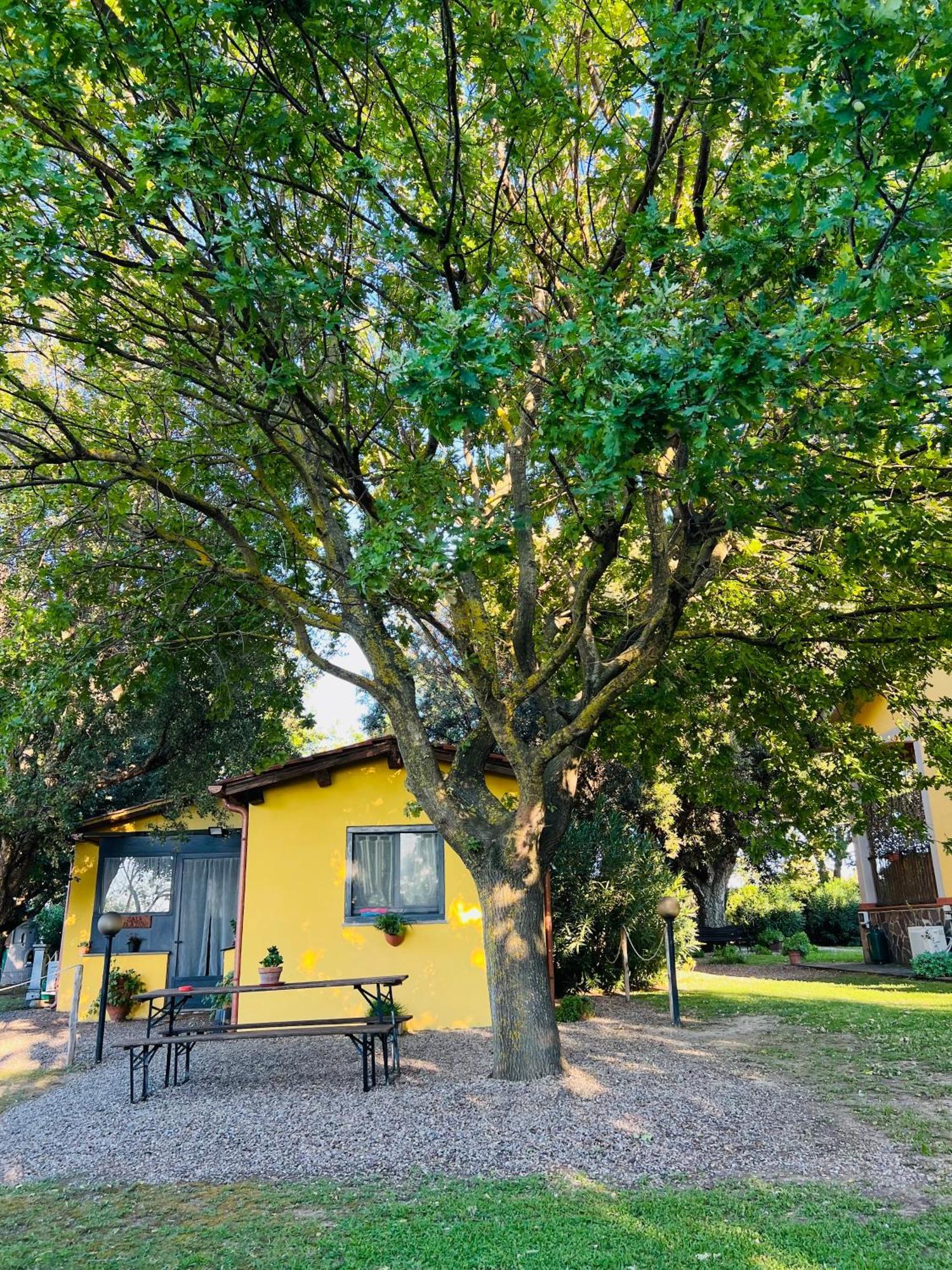 Bed and Breakfast Il Melarancio Pescia Romana Zewnętrze zdjęcie