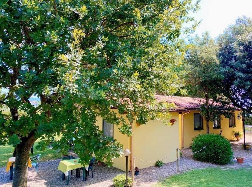 Bed and Breakfast Il Melarancio Pescia Romana Zewnętrze zdjęcie